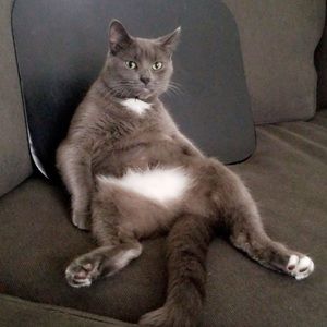 Meet your Posher, Mitchell